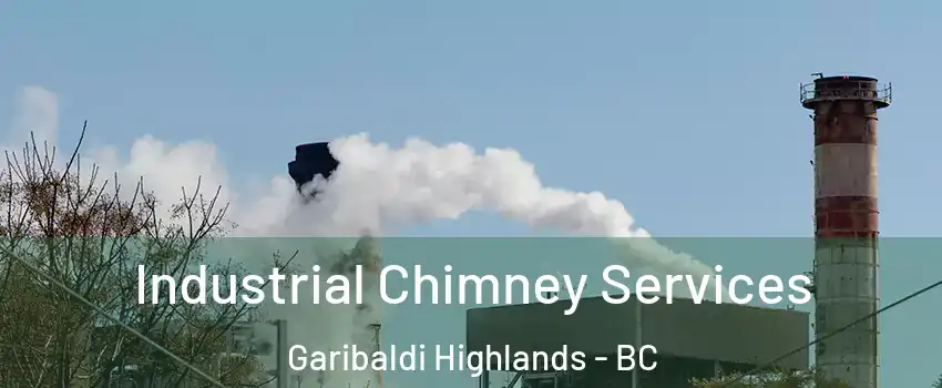  Industrial Chimney Services Garibaldi Highlands - BC