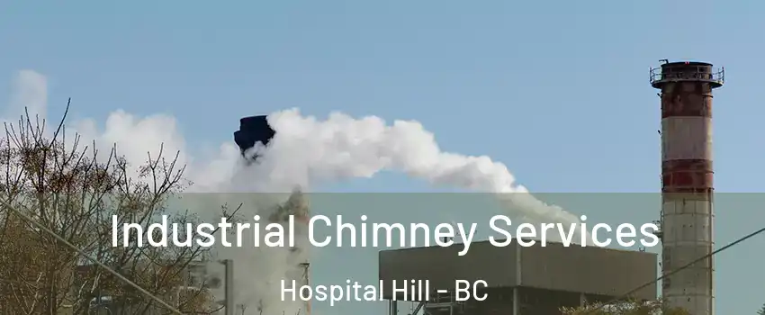  Industrial Chimney Services Hospital Hill - BC