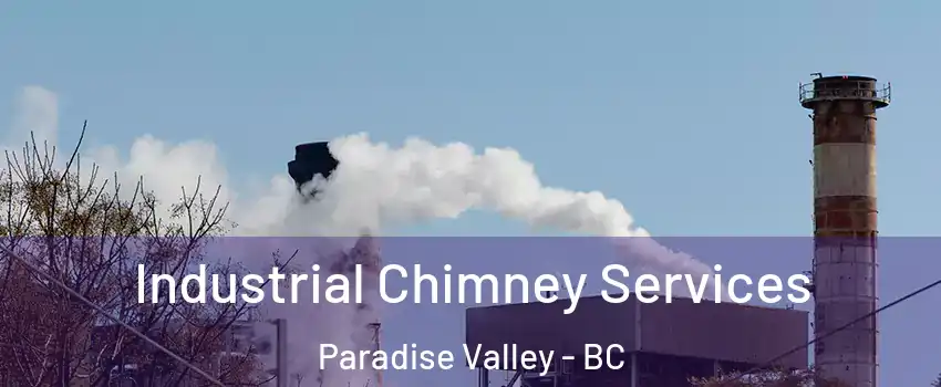  Industrial Chimney Services Paradise Valley - BC