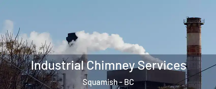  Industrial Chimney Services Squamish - BC