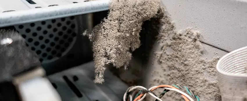 Clogged Dryer Vent Lint Cleaning in Squamish, British Columbia