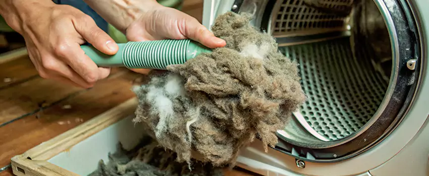 Best Dryer Lint Removal Company in Squamish, British Columbia