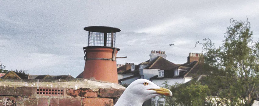 Chimney Cap Bird Guard Repair in Squamish, British Columbia