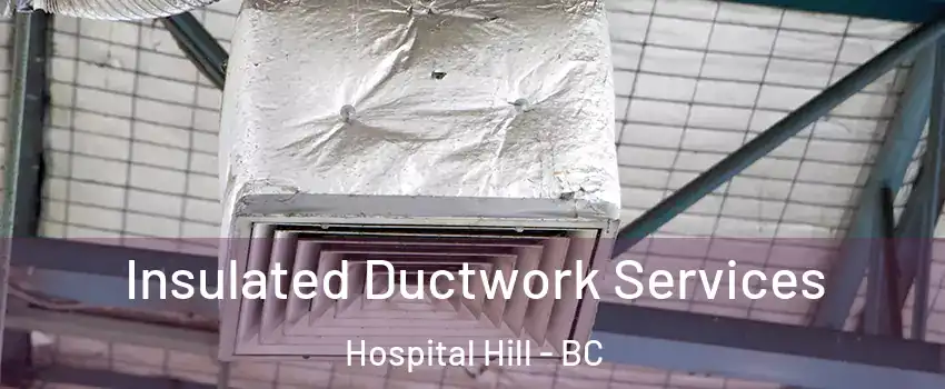  Insulated Ductwork Services Hospital Hill - BC