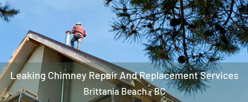  Leaking Chimney Repair And Replacement Services Brittania Beach - BC
