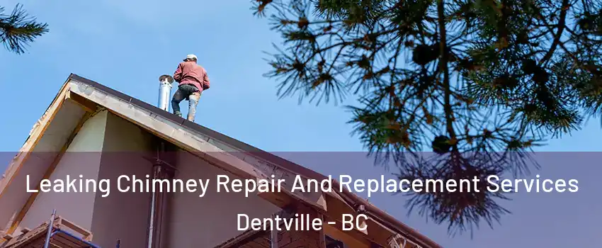  Leaking Chimney Repair And Replacement Services Dentville - BC