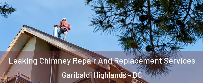  Leaking Chimney Repair And Replacement Services Garibaldi Highlands - BC
