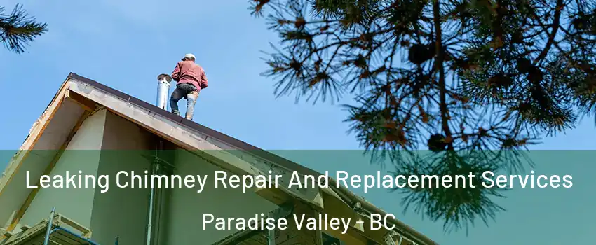  Leaking Chimney Repair And Replacement Services Paradise Valley - BC