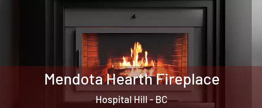 Mendota Hearth Fireplace Hospital Hill - BC