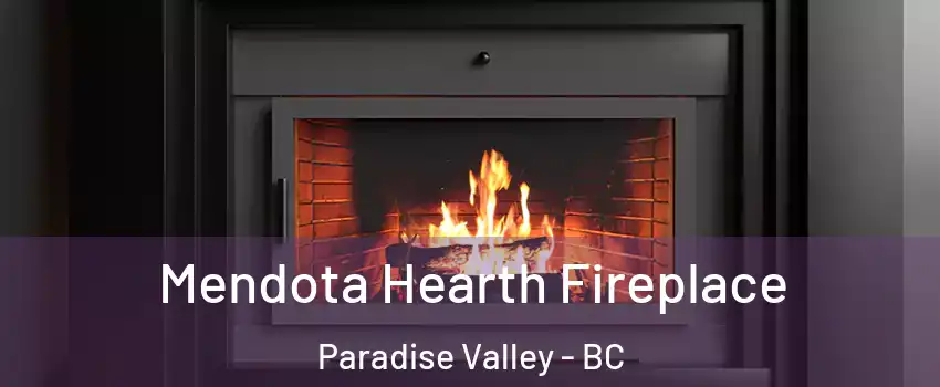 Mendota Hearth Fireplace Paradise Valley - BC
