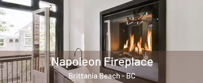  Napoleon Fireplace Brittania Beach - BC