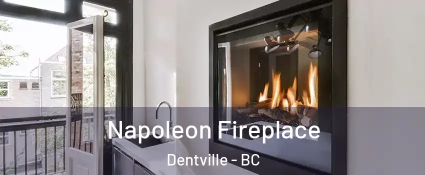  Napoleon Fireplace Dentville - BC