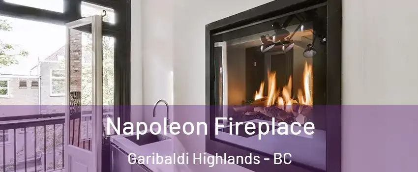  Napoleon Fireplace Garibaldi Highlands - BC