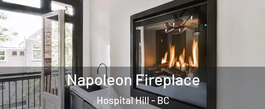  Napoleon Fireplace Hospital Hill - BC