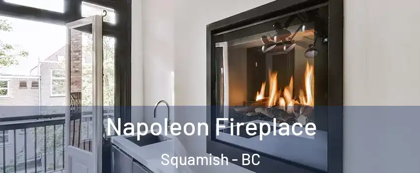  Napoleon Fireplace Squamish - BC