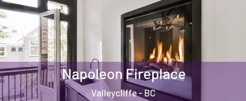  Napoleon Fireplace Valleycliffe - BC