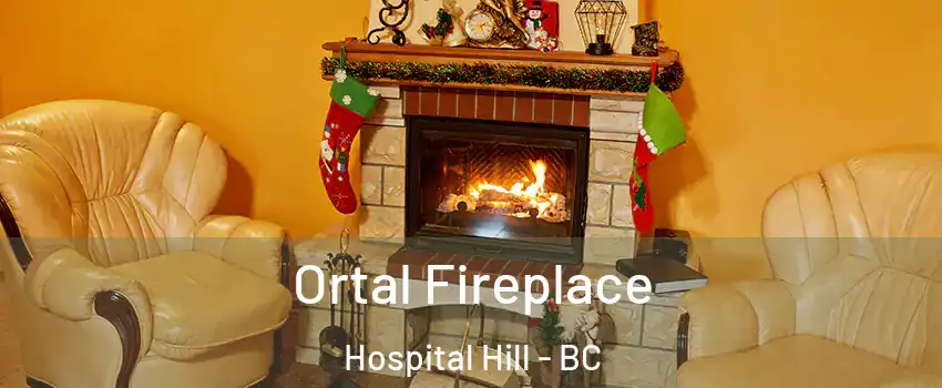Ortal Fireplace Hospital Hill - BC