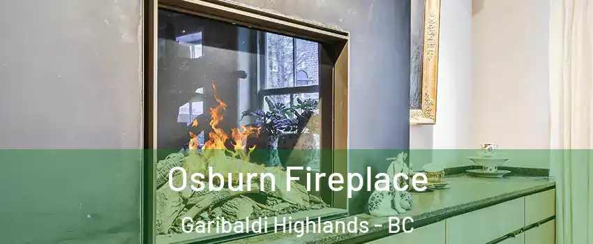  Osburn Fireplace Garibaldi Highlands - BC