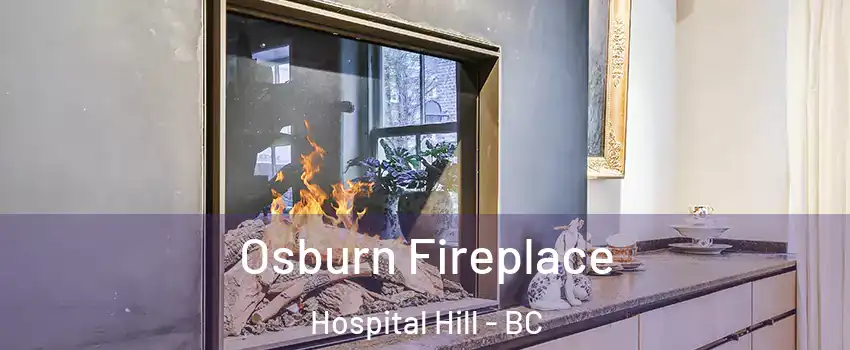  Osburn Fireplace Hospital Hill - BC