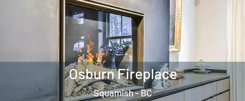  Osburn Fireplace Squamish - BC