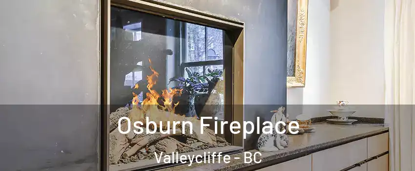  Osburn Fireplace Valleycliffe - BC