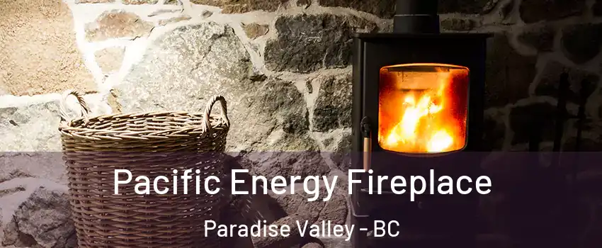  Pacific Energy Fireplace Paradise Valley - BC