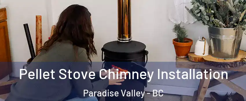  Pellet Stove Chimney Installation Paradise Valley - BC