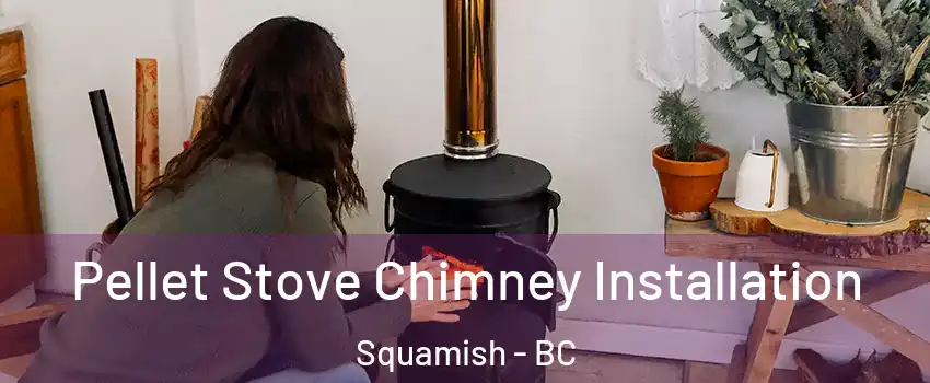 Pellet Stove Chimney Installation Squamish - BC