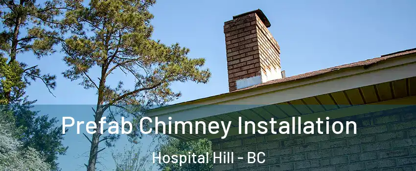  Prefab Chimney Installation Hospital Hill - BC