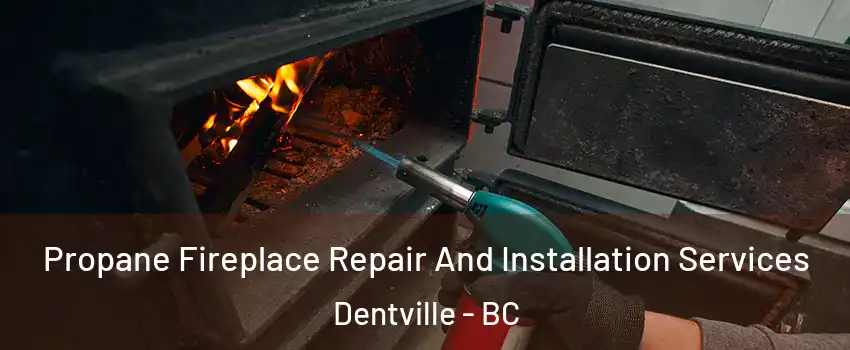 Propane Fireplace Repair And Installation Services Dentville - BC
