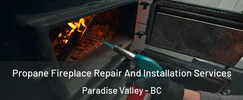 Propane Fireplace Repair And Installation Services Paradise Valley - BC