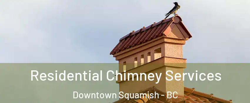  Residential Chimney Services Downtown Squamish - BC