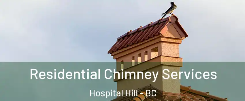  Residential Chimney Services Hospital Hill - BC