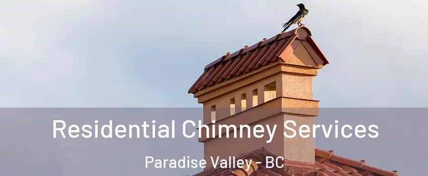  Residential Chimney Services Paradise Valley - BC