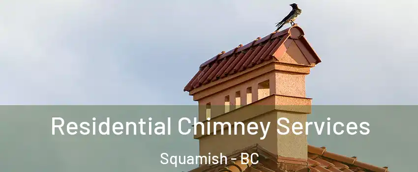  Residential Chimney Services Squamish - BC