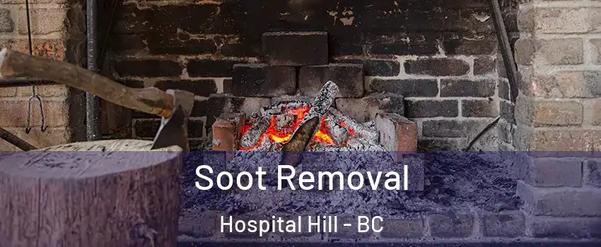  Soot Removal Hospital Hill - BC