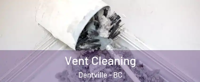  Vent Cleaning Dentville - BC