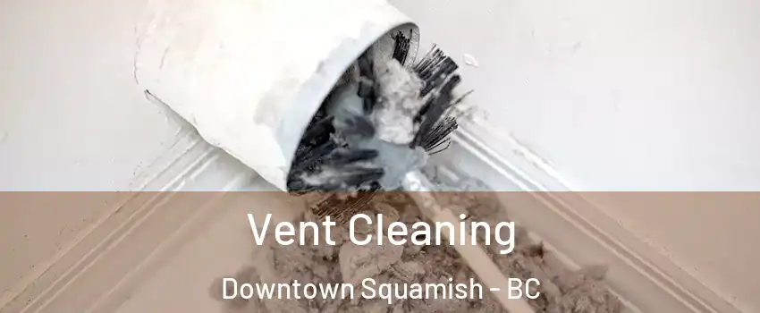 Vent Cleaning Downtown Squamish - BC