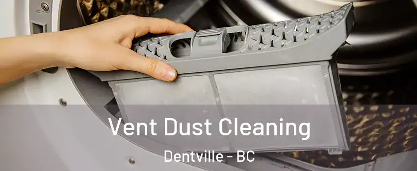  Vent Dust Cleaning Dentville - BC