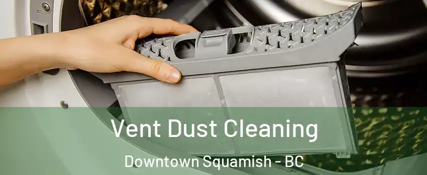  Vent Dust Cleaning Downtown Squamish - BC