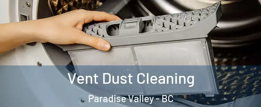  Vent Dust Cleaning Paradise Valley - BC