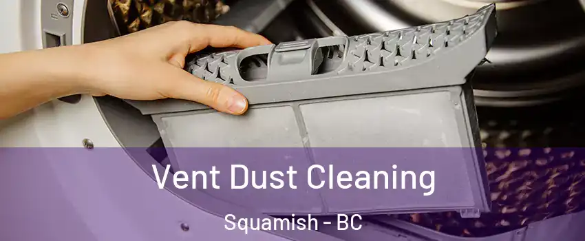  Vent Dust Cleaning Squamish - BC