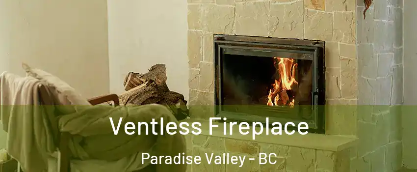  Ventless Fireplace Paradise Valley - BC