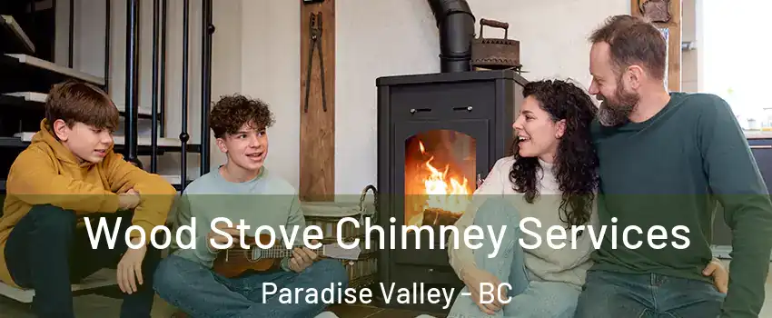  Wood Stove Chimney Services Paradise Valley - BC