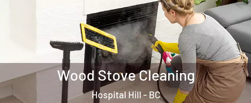  Wood Stove Cleaning Hospital Hill - BC
