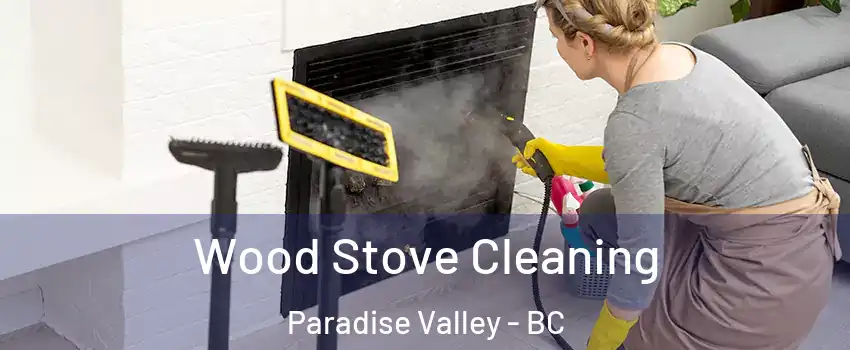  Wood Stove Cleaning Paradise Valley - BC