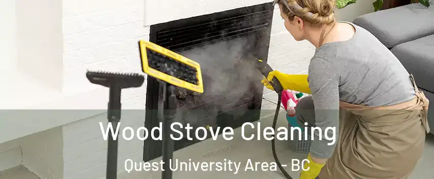  Wood Stove Cleaning Quest University Area - BC