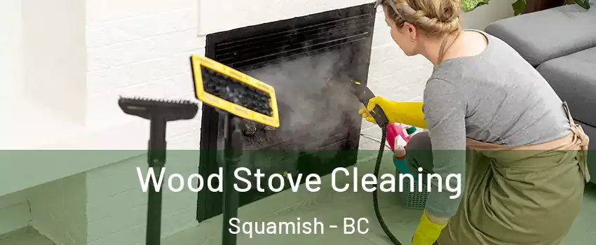  Wood Stove Cleaning Squamish - BC