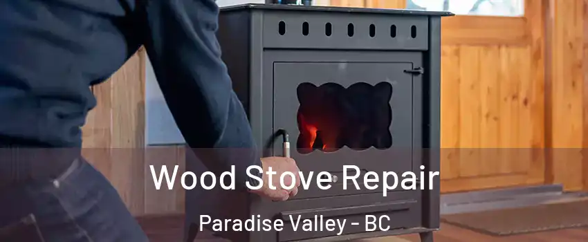  Wood Stove Repair Paradise Valley - BC
